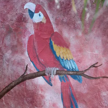 El Porvenir *