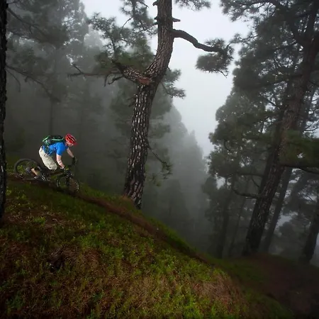 Hostel El Porvenir Los Llanos De Aridane